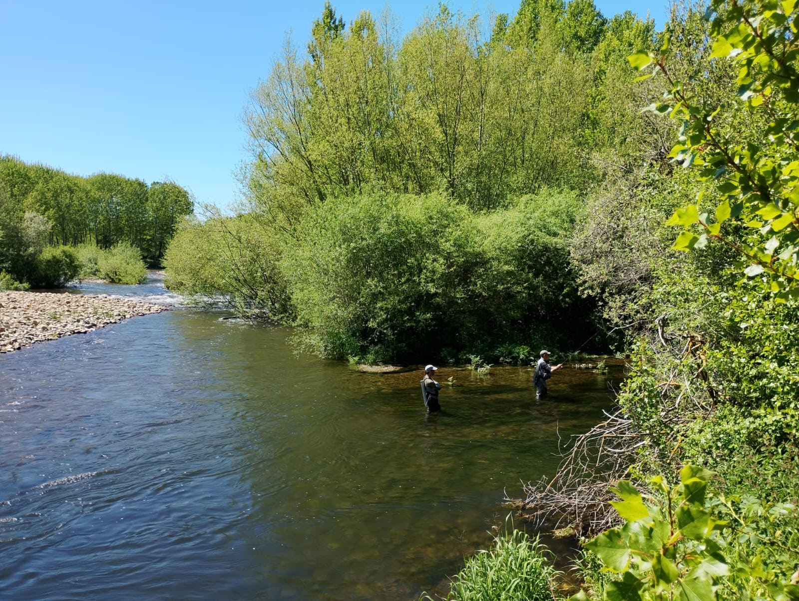 Celebrado el LVII Campeonato de España Salmónidos Lance